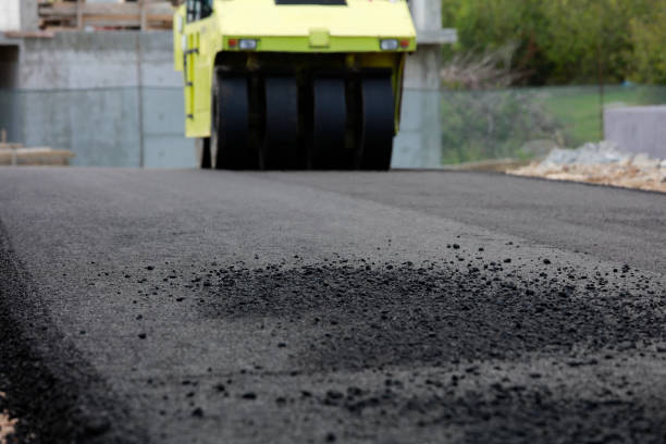 Best Driveway Paving Contractor  in Mount Olive, NC