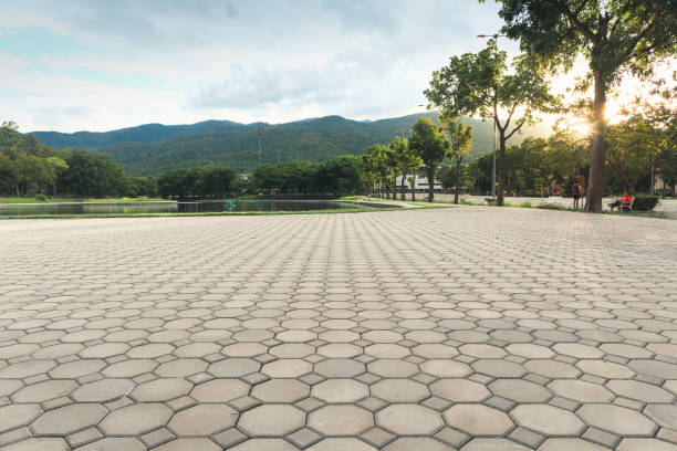 Best Custom Driveway Pavers  in Mount Olive, NC