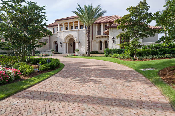 Best Driveway Pavers Near Me  in Mount Olive, NC