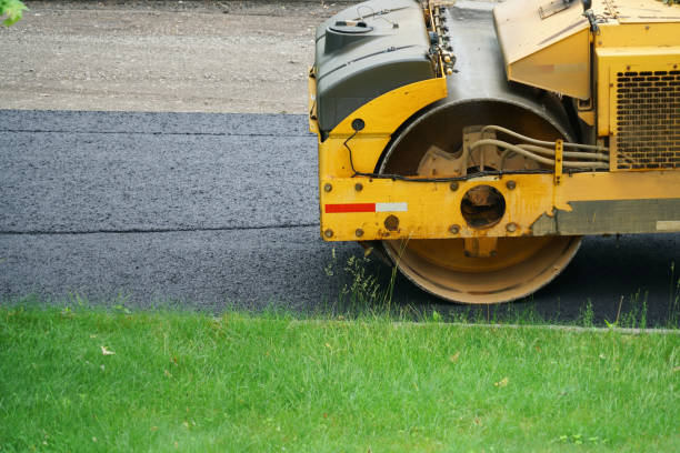 Best Driveway Paving Contractor  in Mount Olive, NC