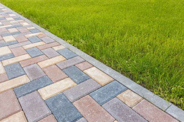 Best Driveway Paving Contractor  in Mount Olive, NC
